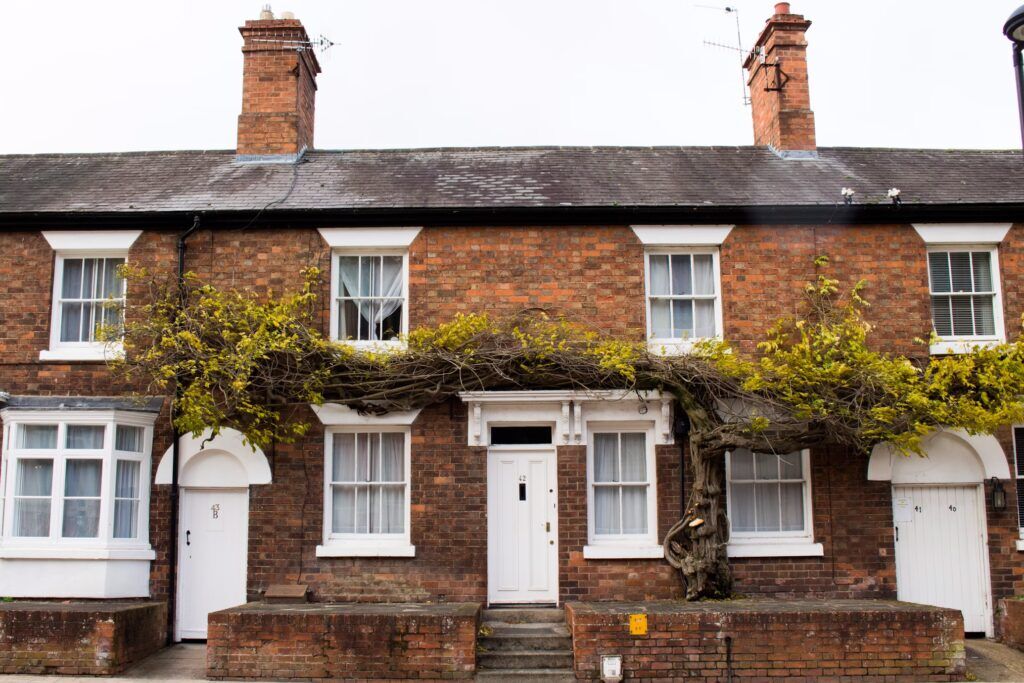 Quantum Services terraced houses